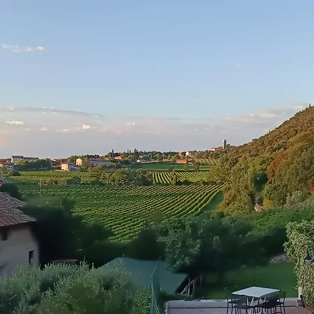 Moscal - Bella Vista * Affi